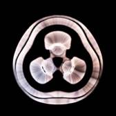 Chimaira : Trigger Finger